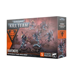 Picture of Raveners Kill Team Warhammer 40K