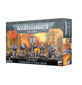 Picture of Space Marines: Sternguard Veteran Squad Warhammer 40,000