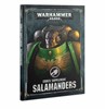 Picture of Codex Salamanders