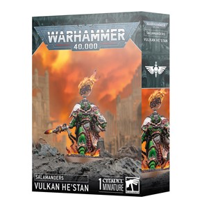 Picture of Vulkan Hestan Salamanders Space Marines Warhammer 40K