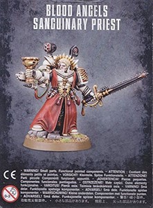 Picture of BLOOD ANGELS SANGUINARY PRIEST - Direct From Supplier*.