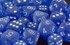 Picture of Chessex Frosted™ 12mm d6 Blue/white Dice Block™