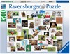 Picture of Funny Animals Collage (1500 Pieces Jigsaw)