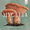 Picture of Mycelia