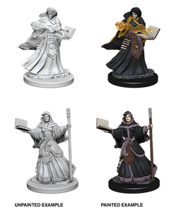 Picture of Human Female Wizard Dungeons and Dragons Nolzur's Marvelous Unpainted Minis