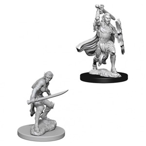 Picture of Female Elf Fighter D&D Nolzur's Marvelous Unpainted Miniatures