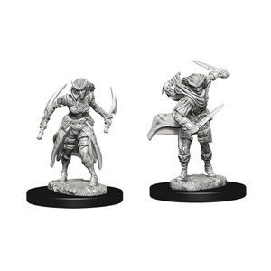 Picture of Tabaxi Rogue Dungeons and Dragons Nolzur's Marvelous Miniatures