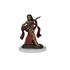 Picture of Human Bard Female Pathfinder Battles Premium Painted Figure (W2)