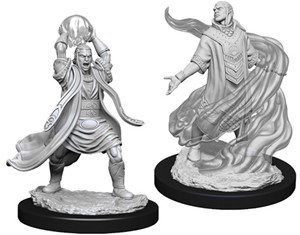 Picture of Male Elf Sorcerer: D&D Nolzur's Marvelous Unpainted Miniatures (W11)