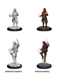 Picture of Tiefling Sorcerer Male D&D Nolzur's Marvelous Unpainted Miniatures (W12)