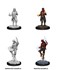 Picture of Tiefling Sorcerer Male D&D Nolzur's Marvelous Unpainted Miniatures (W12)