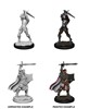 Picture of Male Human Paladin D&D Nolzur's Marvelous Unpainted Miniatures (W12)