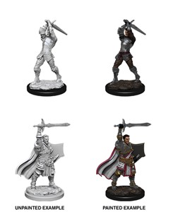 Picture of Male Human Paladin D&D Nolzur's Marvelous Unpainted Miniatures (W12)