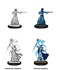 Picture of Female Elf Wizard D&D Nolzur's Marvelous Unpainted Miniatures (W12)