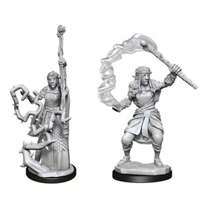 Picture of Firbolg Druid Female - D&D Nolzur's Marvelous Unpainted Miniatures (W13)