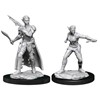 Picture of Shifter Rogue Female D&D Nolzur's Marvelous Unpainted Miniatures (W13)