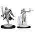 Picture of Multiclass Warlock & Sorcerer Female D&D Nolzur's Marvelous Unpainted Miniatures (W13)