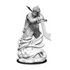 Picture of Djinni D&D Nolzur's Marvelous Unpainted Miniatures (W13)