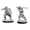 Picture of Human Paladin Male D&D Nolzur's Marvelous Unpainted Miniatures (W14)