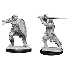 Picture of Human Paladin Male D&D Nolzur's Marvelous Unpainted Miniatures (W14)