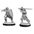 Picture of Human Paladin Male D&D Nolzur's Marvelous Unpainted Miniatures (W14)