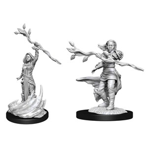 Picture of Human Druid Female D&D Nolzur's Marvelous Unpainted Miniatures (W14)