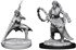 Picture of Human Monk Female D&D Nolzur's Marvelous Unpainted Miniatures (W14)