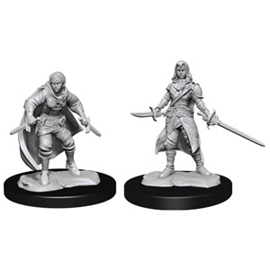 Picture of Half-Elf Rogue Female D&D Nolzur's Marvelous Unpainted Miniatures (W14)