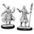 Picture of Half-Elf Wizard Male D&D Nolzur's Marvelous Unpainted Miniatures (W14)