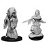 Picture of Night Hag & Dusk Hag D&D Nolzur's Marvelous Unpainted Miniatures (W14)