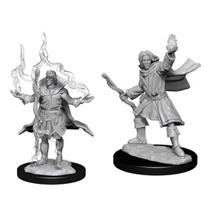 Picture of Elf Sorcerer Male Pathfinder Battles Deepcuts Unpainted Miniatures (W14)