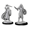 Picture of Human Champion Female Pathfinder Battles Deepcuts Unpainted Miniatures (W14)