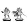 Picture of Dragonborn Fighter Female D&D Nolzur's Marvelous Unpainted Miniatures (W15)