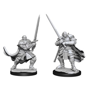 Picture of Half-Orc Paladin Male D&D Nolzur's Marvelous Unpainted Miniatures (W15)