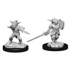 Picture of Male Goblin Rogue & Female Goblin Bard D&D Nolzur's Marvelous Unpainted Miniatures (W15)