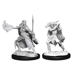 Picture of Winter Eladrin & Spring Eladrin D&D Nolzur's Marvelous Unpainted Miniatures (W15)