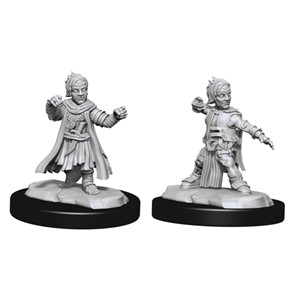 Picture of Halfing Monk Male Pathfinder Battles Deepcuts Unpainted Miniatures (W15)