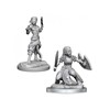 Picture of Shifter Fighter D&D Nolzur's Marvelous Unpainted Miniatures (W20)