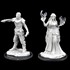 Picture of Turst Militia Swordsman & Lyrengorn Holy Priest Critical Role Unpainted Miniatures (W2)