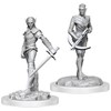 Picture of Drow Fighters - D&D Nolzur's Marvelous Unpainted Miniatures