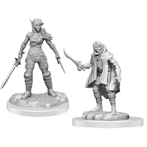 Picture of Elf Rogue & Half-Elf Rogue Protégé - D&D Nolzur's Marvelous Unpainted Miniatures (W19)